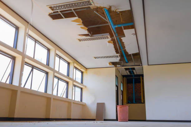Best Professional water damage repair  in Rimersburg, PA