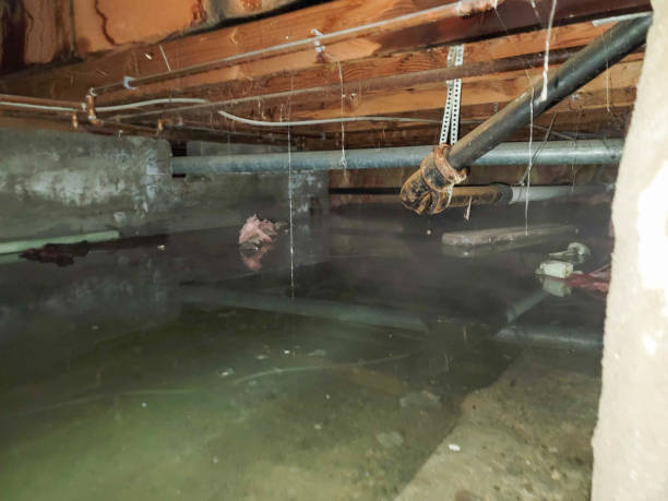 Best 24/7 water damage repair  in Rimersburg, PA