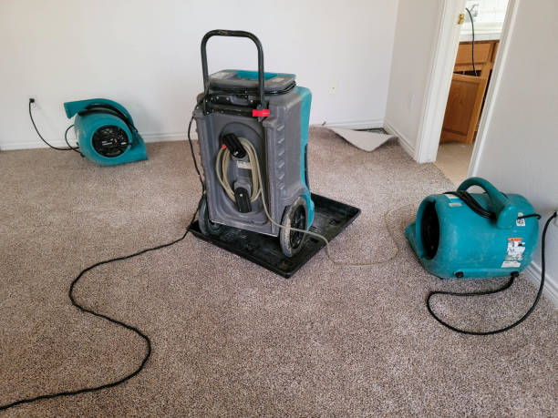 Best Residential water damage restoration  in Rimersburg, PA