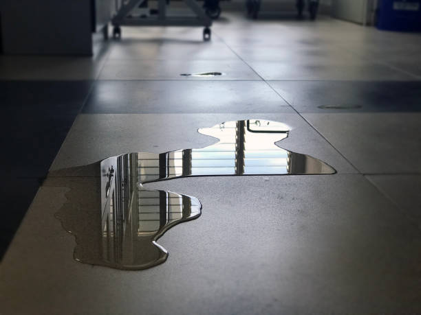Best Water damage mitigation services  in Rimersburg, PA