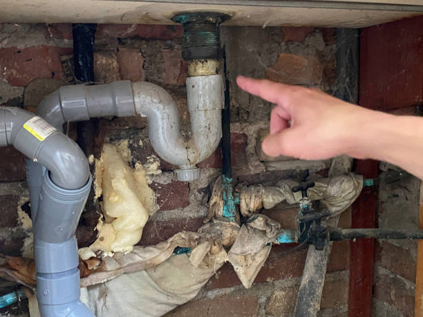 Best Water damage restoration near me  in Rimersburg, PA