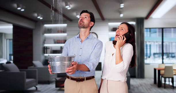 Best Local water damage restoration  in Rimersburg, PA